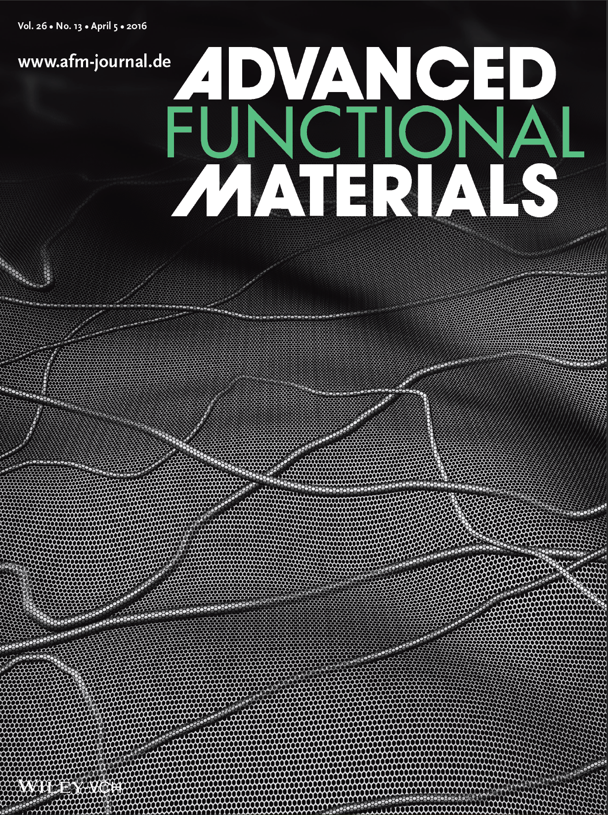 Cover_2016afm.png